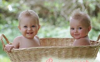 Двойня или как сделать близнецов естественным путем Мои наблюдения за развитием двойняшек и близнецов после рождения